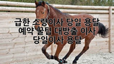 🤯 급한 소량이사? 당일 용달 예약 꿀팁 대방출! #이사 #당일이사 #용달