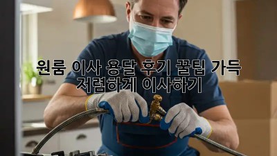원룸 이사, 용달 후기: 꿀팁 가득! 저렴하게 이사하기