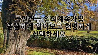 국민연금 임의계속가입: 꼼꼼하게 알아보고 현명하게 선택하세요!