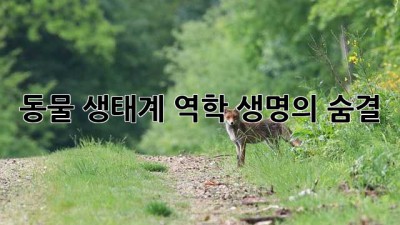동물 생태계 역학: 생명의 숨결